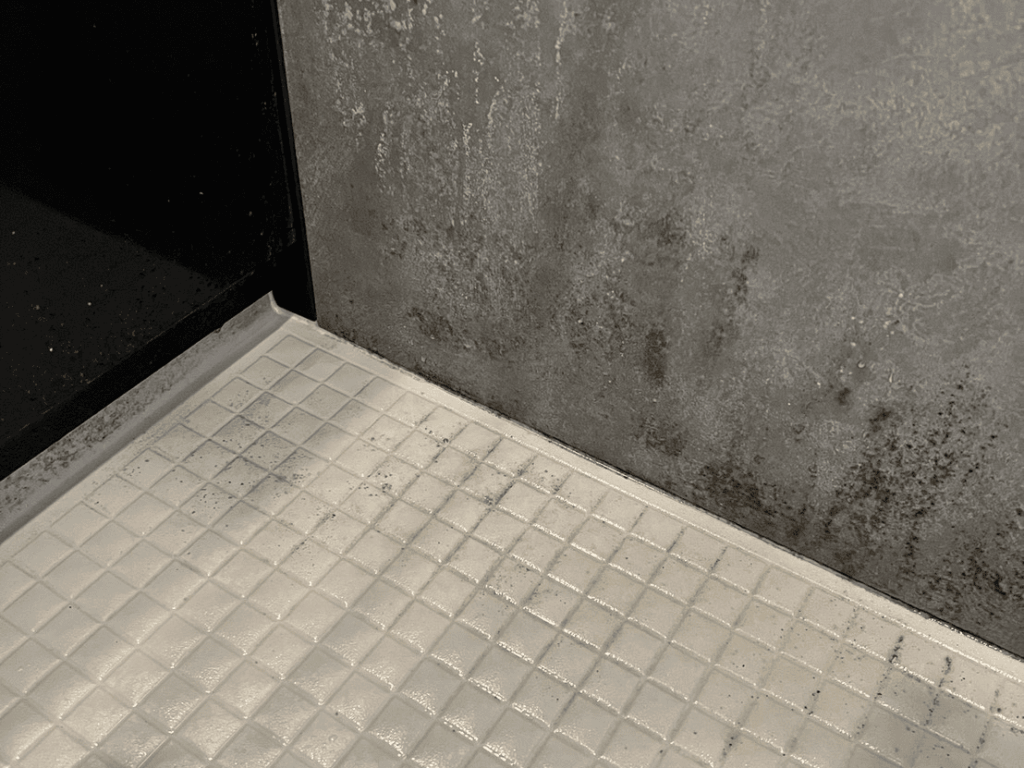 カビ取り剤使用前